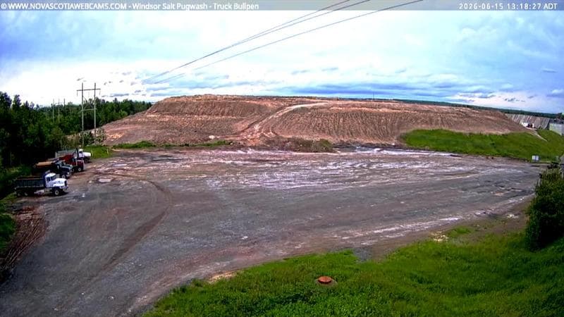 Windsor Salt