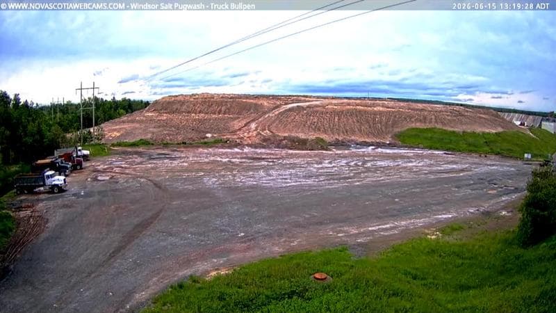 Windsor Salt