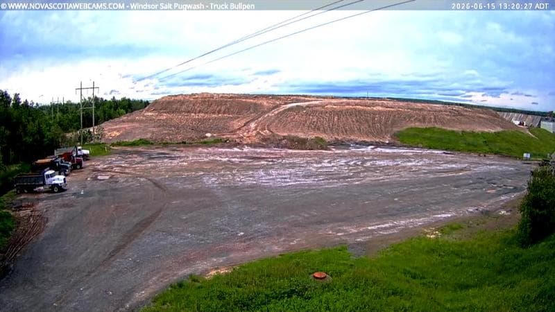 Windsor Salt