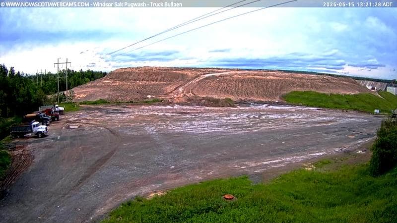 Windsor Salt