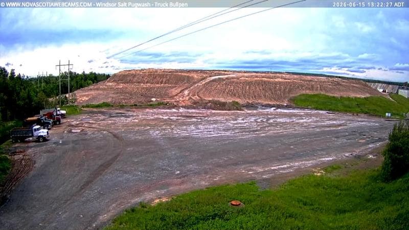 Windsor Salt