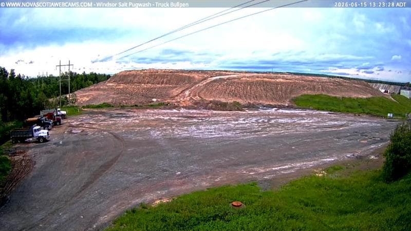 Windsor Salt