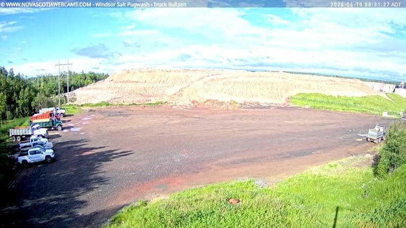 Windsor Salt