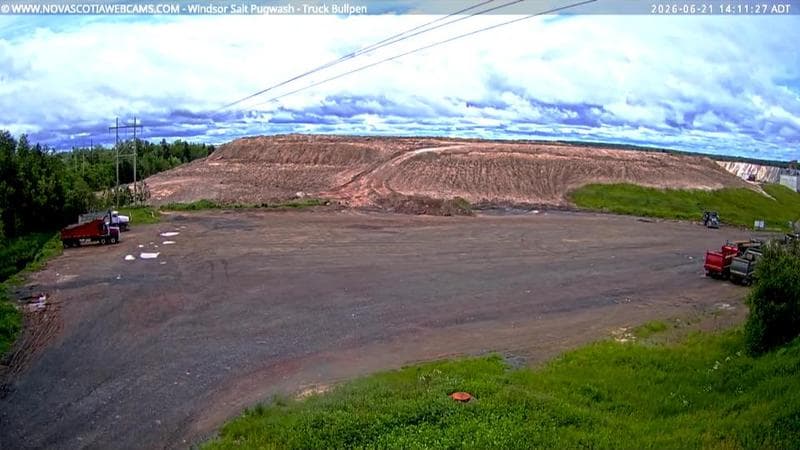 Windsor Salt