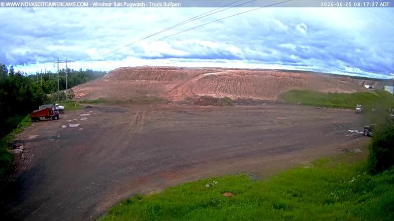 Windsor Salt