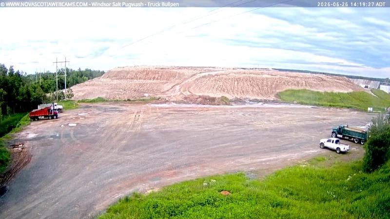 Windsor Salt