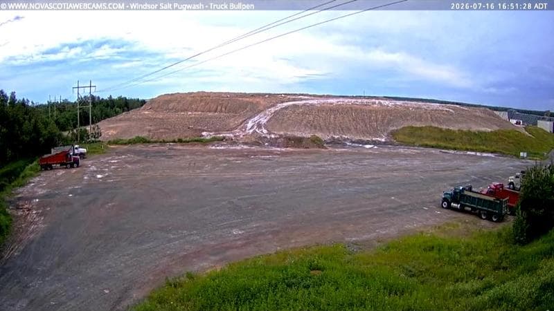 Windsor Salt