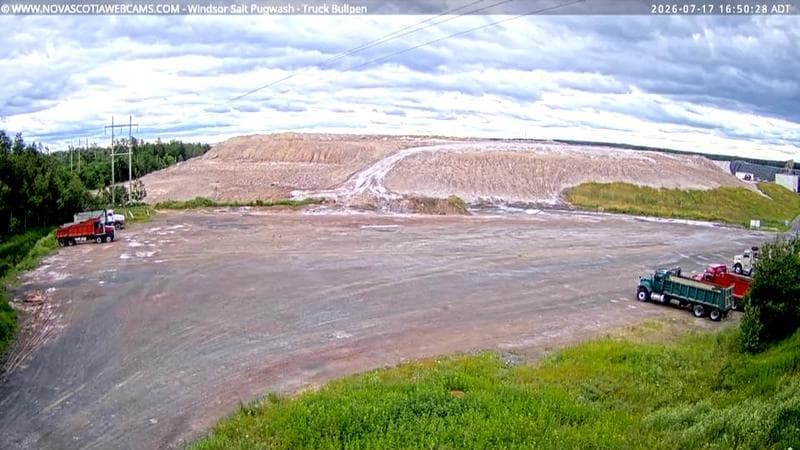 Windsor Salt