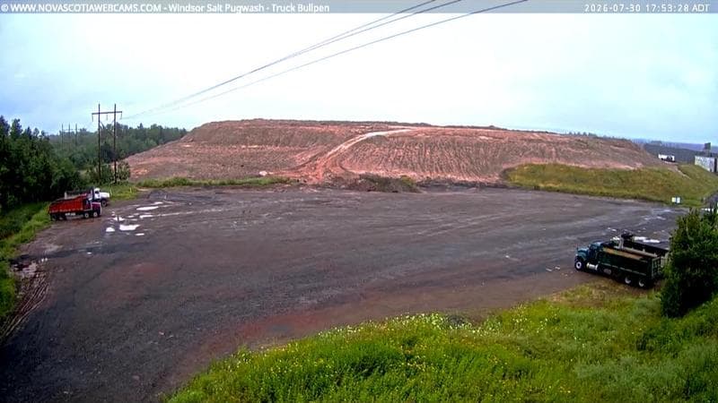 Windsor Salt