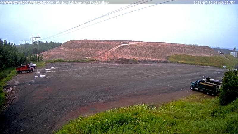 Windsor Salt