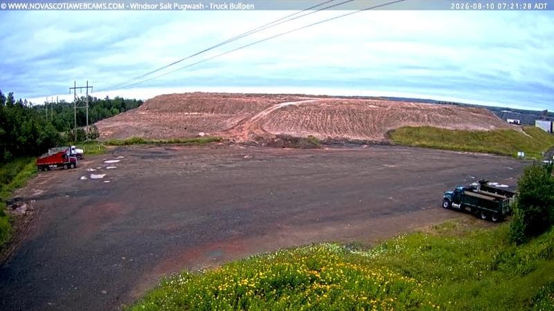 Windsor Salt