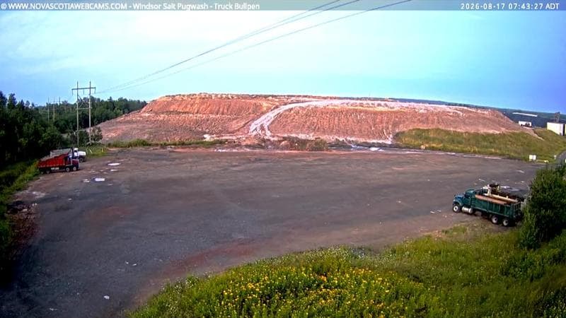 Windsor Salt