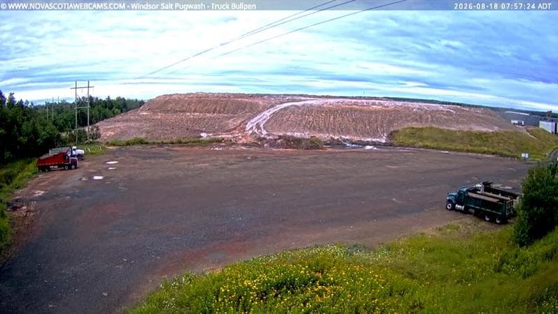Windsor Salt