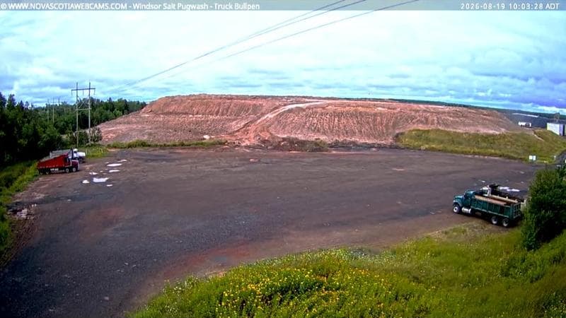 Windsor Salt