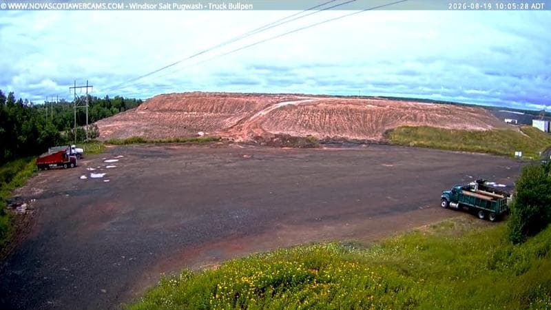 Windsor Salt