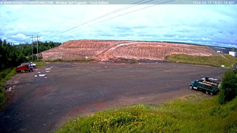 Windsor Salt