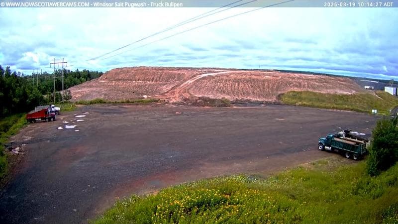 Windsor Salt