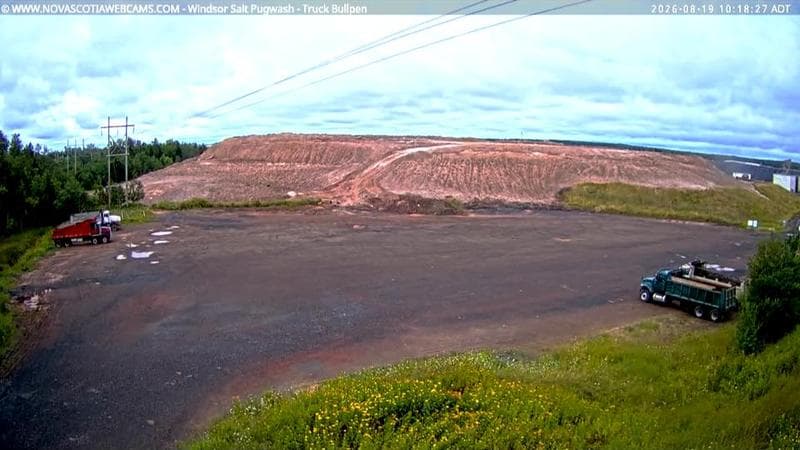 Windsor Salt