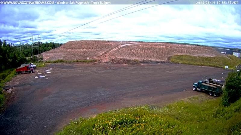Windsor Salt