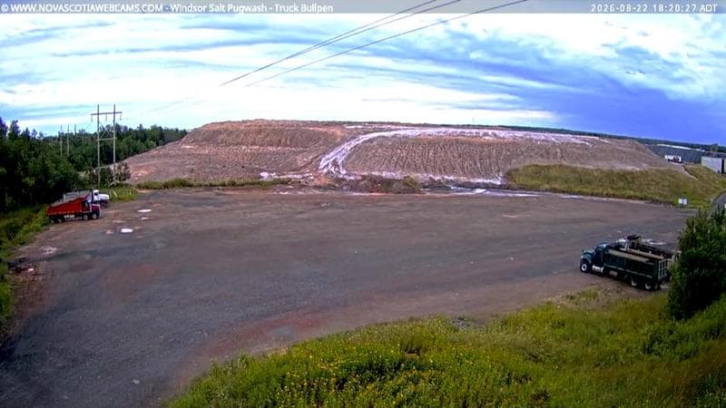 Windsor Salt
