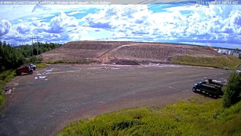 Windsor Salt