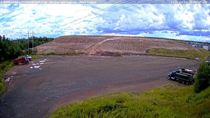 Windsor Salt