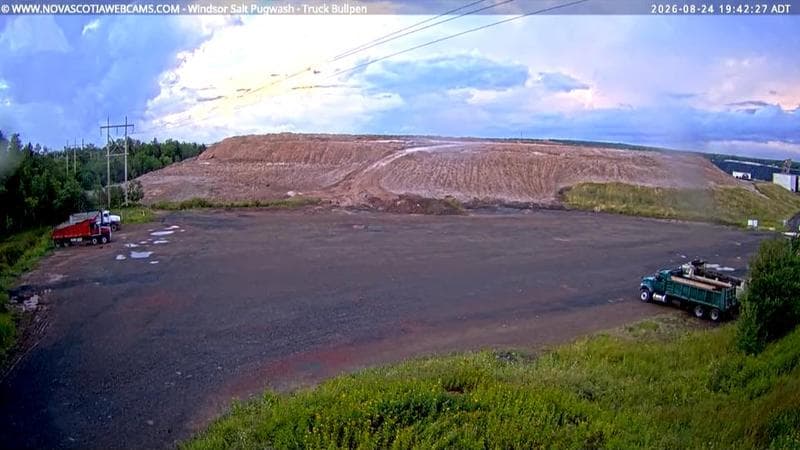 Windsor Salt