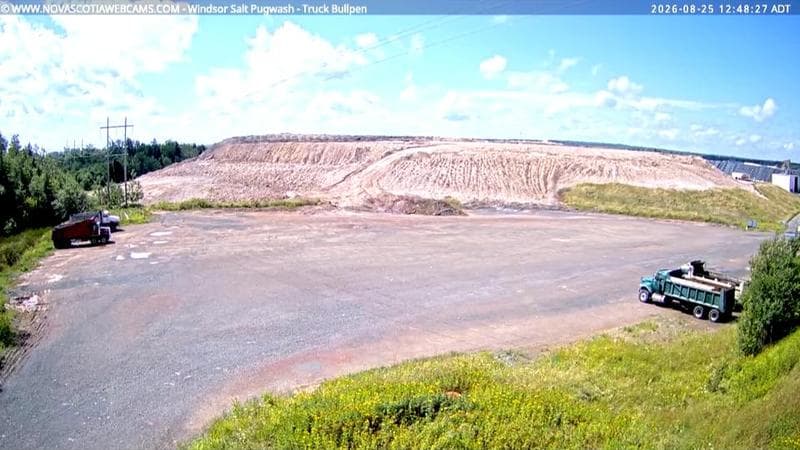 Windsor Salt